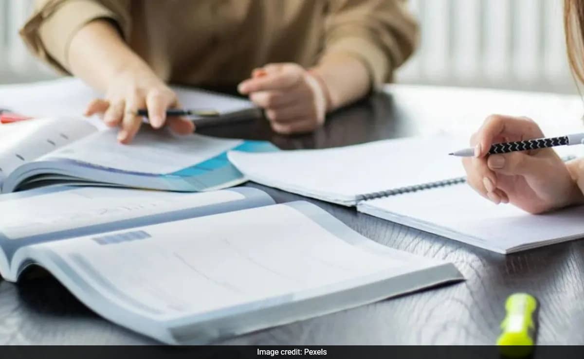 NTET 2024: Provisional Answer Keys Released, Check Steps To Raise Objections