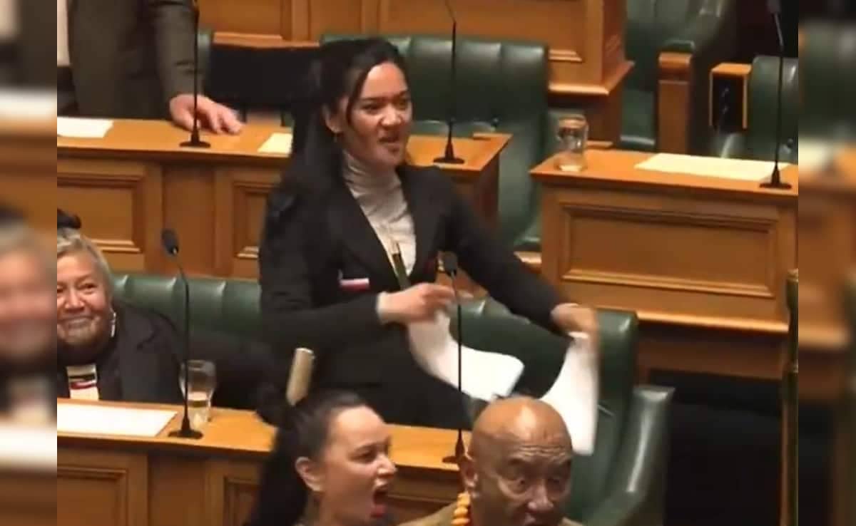 3jsgi91o new zealand mp haka 625x300 14 November 24 8nEXiY