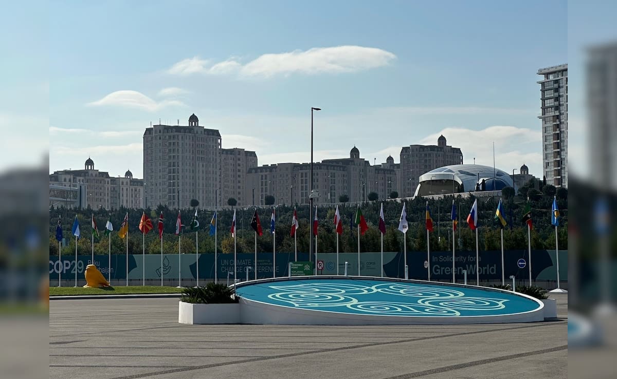 COP29 Draft Deal Proposes Rich Nations Give $250 Billion In Climate Finance