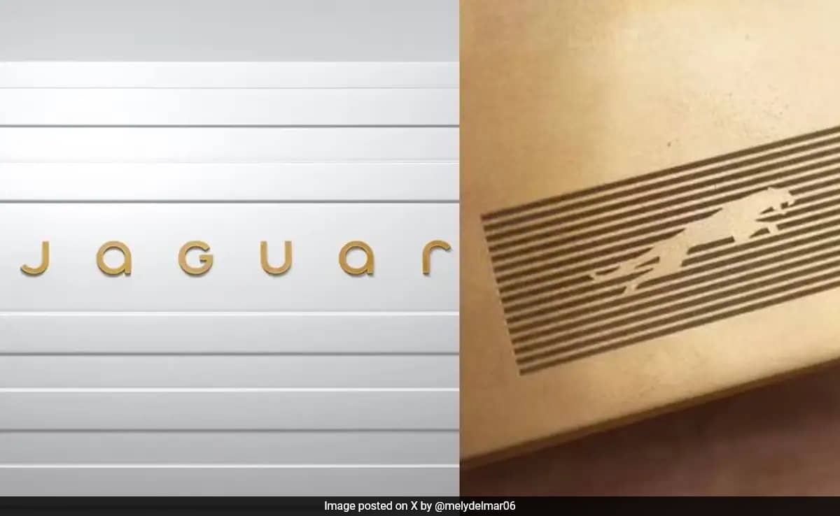 67gomnq8 jaguar twitter 625x300 21 November 24 texby9