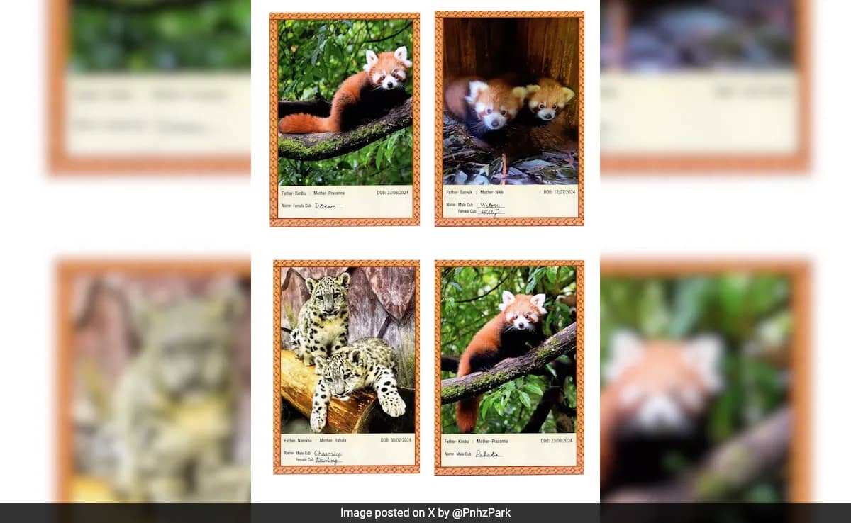 a05pjkpo darjeeling zoo 625x300 14 November 24 sM13UL
