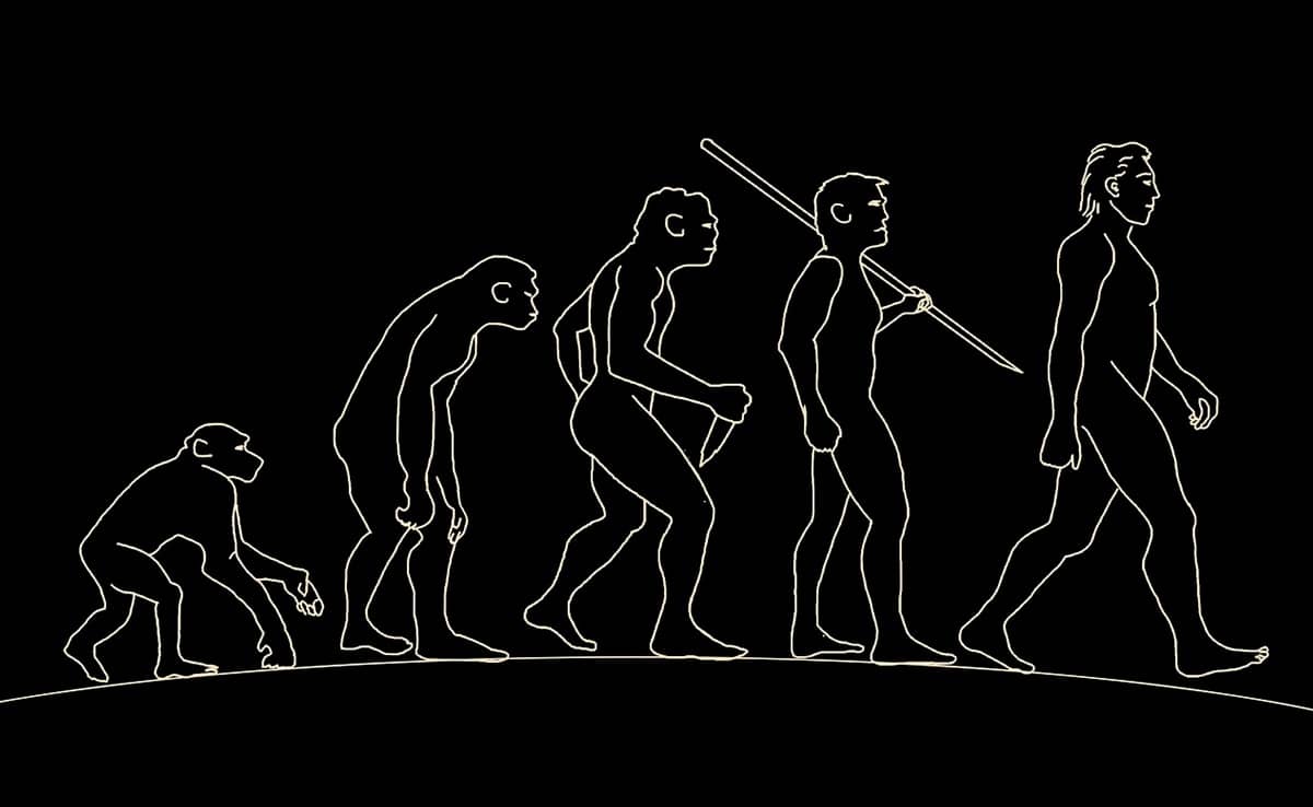 bi3v4o6c human evolution generic pixabay 625x300 09 June 23 UplYa4