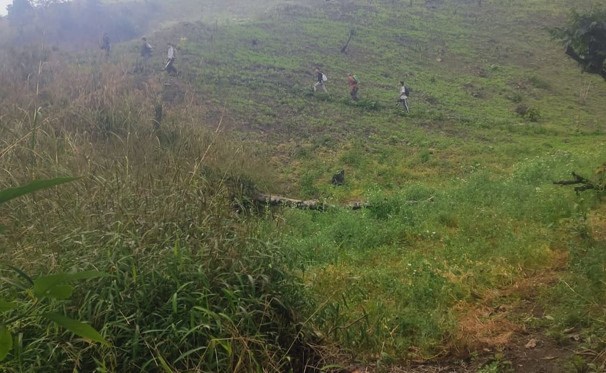 Manipur Cops Walk 3 Hours To Raze Illegal Poppy Farms, Face "90 Armed Miscreants", Turn Back: FIR