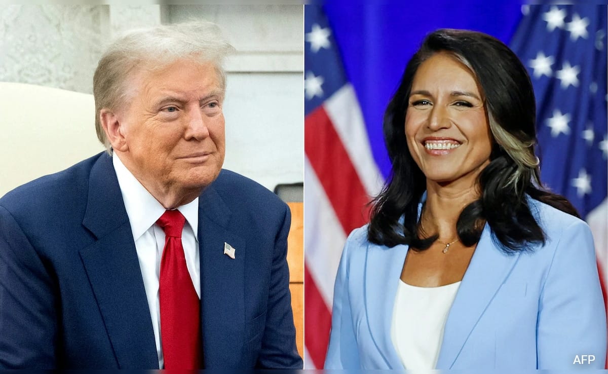 df5n2i28 tulsi gabbard 625x300 14 November 24 m94rfR
