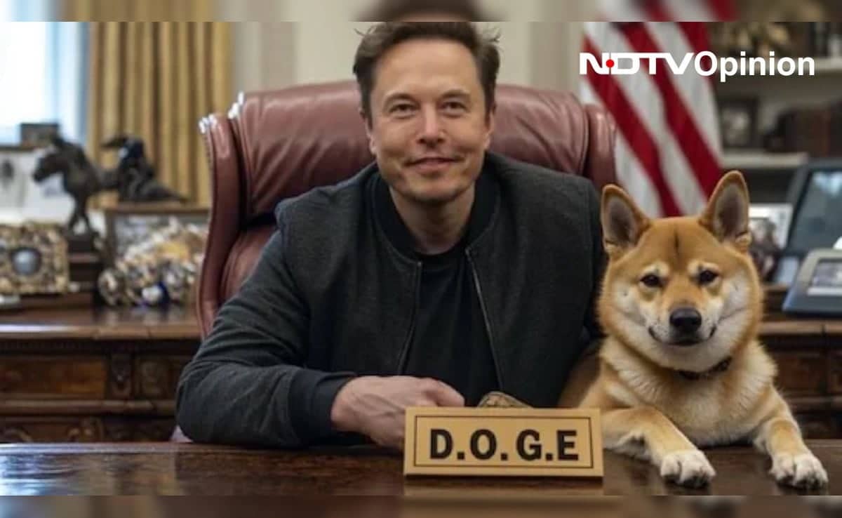 dpi50emo doge 625x300 20 November 24 XATv8x