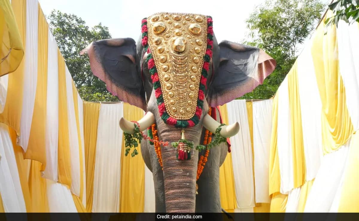 juefmppg peta india lifesize mechanical elephant 625x300 15 November 24 UQieTI