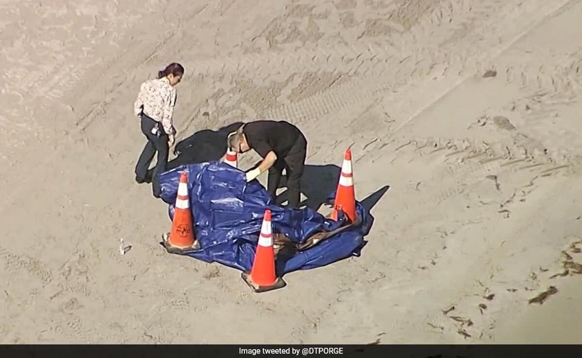 t4mqs0h8 human head on florida beach 625x300 14 November 24 aCzJ0U