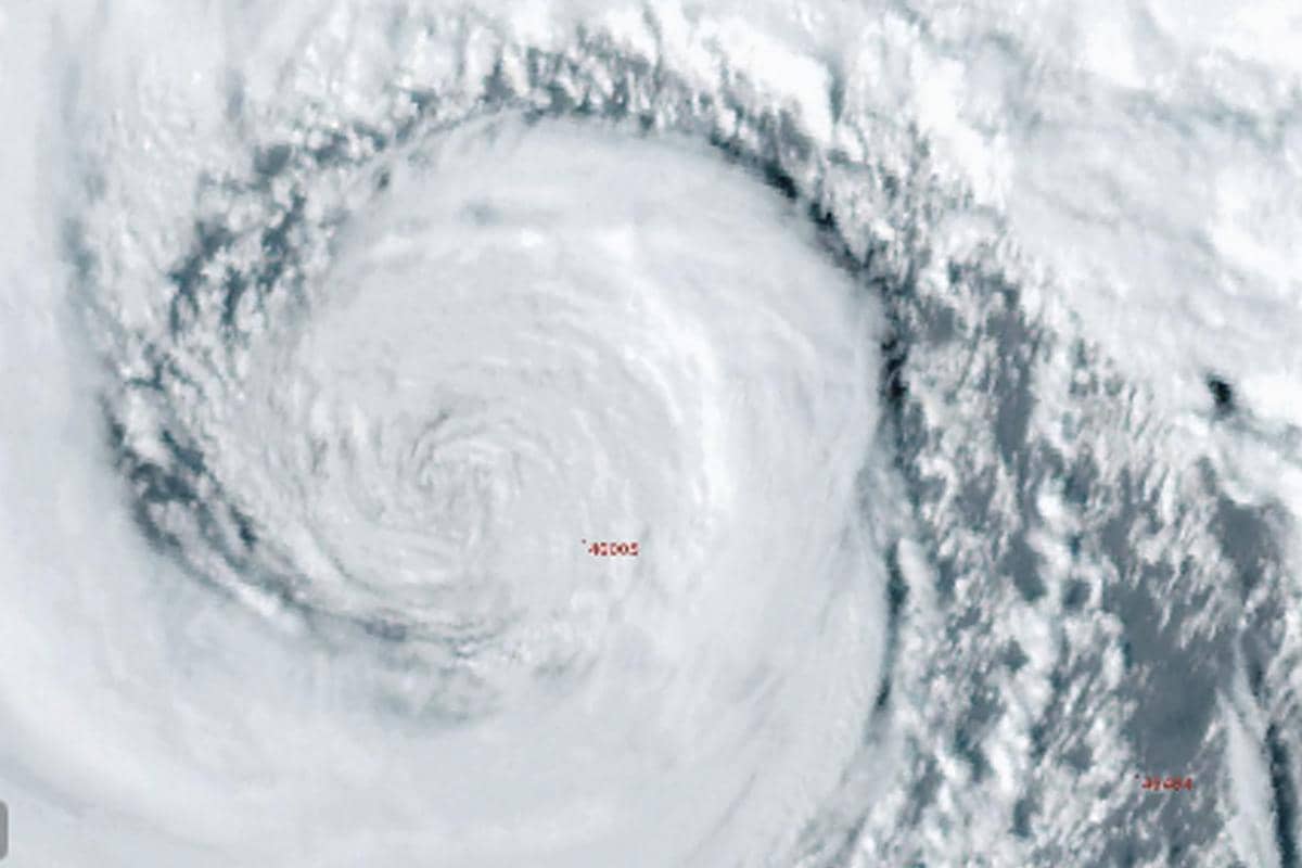 bomb cyclone knocks out power to over 600000 and downs trees across northwest u s killing 1