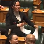 3jsgi91o new zealand mp haka 625x300 14 November 24 XjdMr5