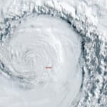 bomb cyclone knocks out power to over 600000 and downs trees across northwest u s killing 1