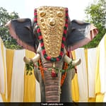 juefmppg peta india lifesize mechanical elephant 625x300 15 November 24 UQieTI