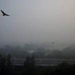 mjrf223g delhi aqi 625x300 18 November 24 PKxOvI
