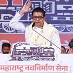 n5gr5bs raj thackeray 625x300 04 November 24 bDcowx