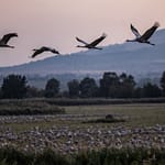 n8kp3j3o northern israel nature reserve 625x300 15 November 24 YPVO8D
