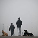 opjptf delhi pollution afp 625x300 18 November 24 1lu0xg