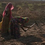 India’s Rural Areas Drive Rise In Female Labour Force Participation: Study