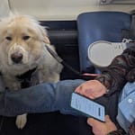 Delta Airline Passenger Gets Frustrated After His First-Class Seat Was Given To Service Dog