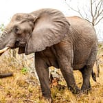24-dec_10_full_img_1735037292087