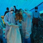 Can Avian Influenza Transmit Through Air? 7 Prevention Tips For Your Well-Being