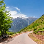 8 Viral Videos And Stories That Captivated Travel Lovers In 2024