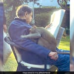 Shashi Tharoor Shares Heartwarming Encounter With Monkey In His Garden