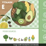 10 Vitamin E-Rich Superfoods You Must Add To Your Winter Diet