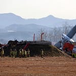 Bird Hit, Gear Glitch, Belly Landing: Chain Of Events In South Korea Crash