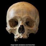 4,000-Year-Old Massacre In England: 37 Victims Were Slaughtered And Eaten