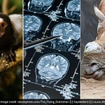 From Super-Earth To Anti-HIV Drug; Top 10 Science Breakthroughs In 2024