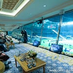 “Celebrates Spirit Of Football”: PM Modi Attends Arabian Gulf Cup In Kuwait