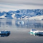 Antarctic ‘Plastisphere’: A Unique, Potentially Hazardous New Ecosystem