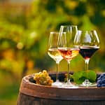 Sip, Savour, Repeat: 8 Best Vineyards In India For A Relaxing Weekend Getaway