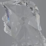 Surat Firm Creates Donald Trump’s Carving In Lab-Grown Diamond