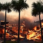 Paris Hilton, Adam Brody Among Stars Who Lost Homes In Los Angeles Fires