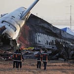 Duck DNA Found In Both Engines Of Crashed South Korea Plane: Report