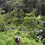 IMG_APTOPIX_Indonesia_De_2_1_2EDSG9SJ