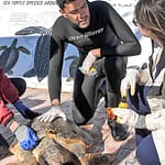 IMG_TUNISIA-ENVIRONMENT-_2_1_41DRGQF4