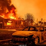 Palisades Fire Ravages 15,800 Acres, Kills 5; Musk Shares Devastation Footage