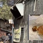 Watch: Man Shocked At Location Of “Fresh Menu” Cloud Kitchen In Mumbai, Company Responds