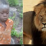 How An 8-Year-Old Boy Survived For 5 Days In Zimbabwe’s Dangerous Lion-Filled Reserve