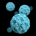 Norovirus Surge In US: Here’s Everything You Must Know