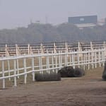 photo-13