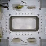 ISRO’s Time-Lapse Video Shows How Plants Grow In Space