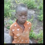Boy, 8, Rescued After 5-Day Survival In Lion-Inhabited Zimbabwe Game Park