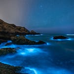 6 Bioluminescent Beaches That Will Light Up Your Trip