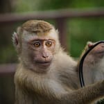 5th_article_full_img_1738404909222