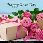 Rose Day 2025: Date, Significance and Wishes To Share With Your Loved Ones