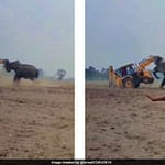 Video: Wild Elephant Attacks JCB Machine In West Bengal After Being Provoked