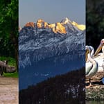 7 UNESCO-Listed Natural Wonders In India That’ll Leave You Speechless