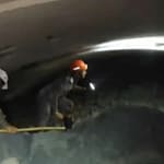 6 Days And Counting: Teams Intensify Rescue Efforts At Collapsed Telangana Tunnel